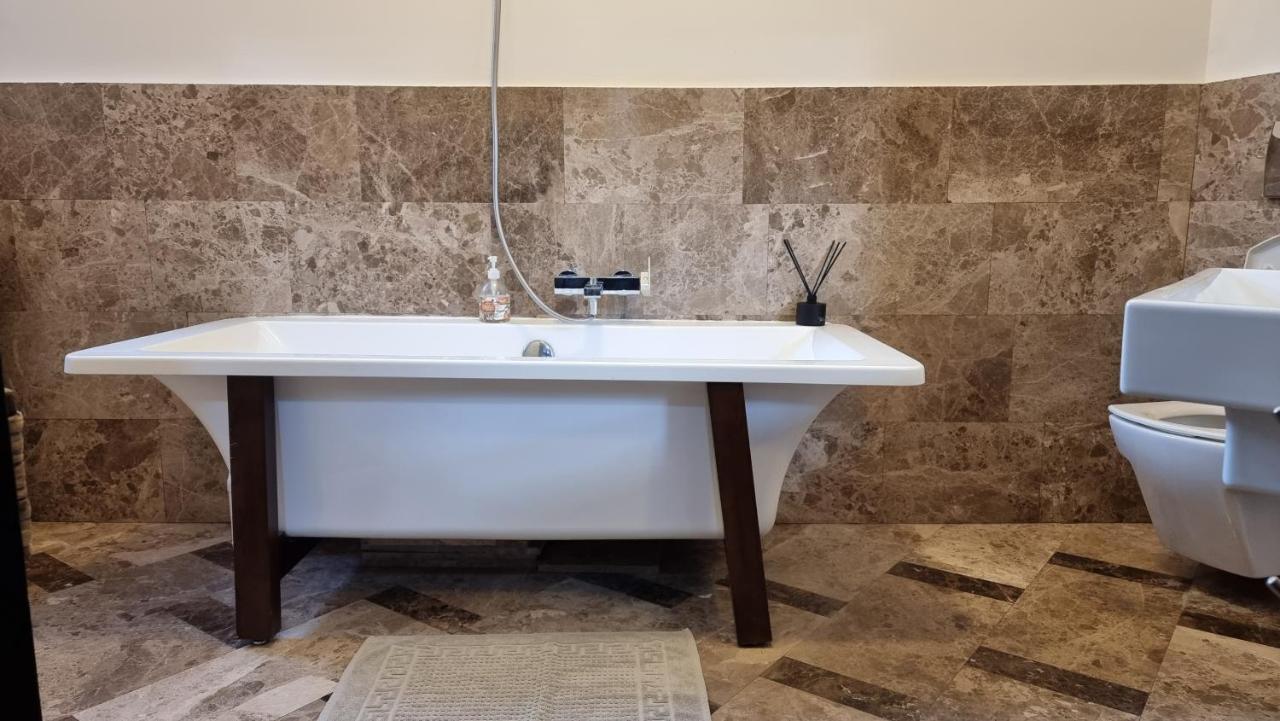 Neuhausz Suite - Ultracentral Τιμισοάρα Εξωτερικό φωτογραφία